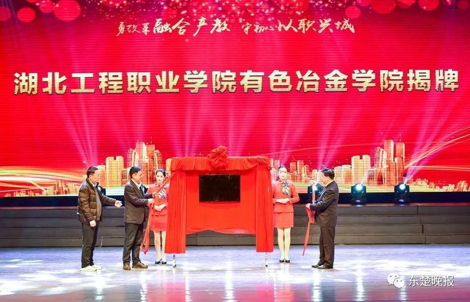 十五冶七公司最新动态，发展与创新之路的探讨