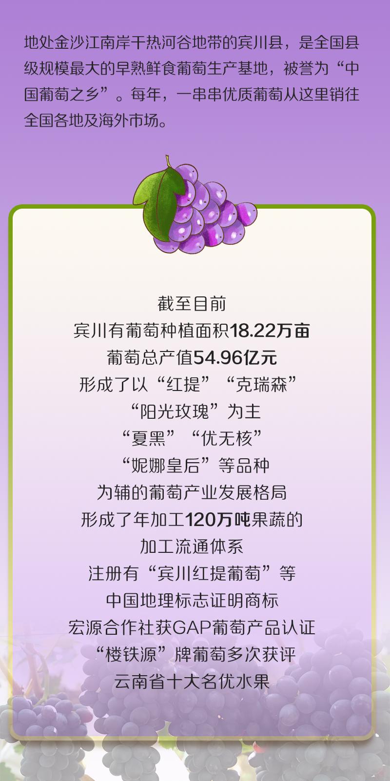 盘溪水果市场搬迁最新动态揭秘