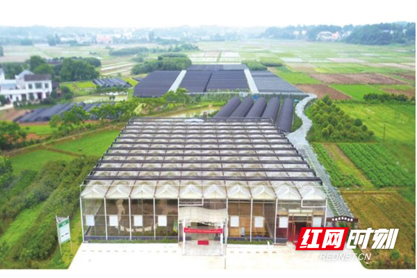 长沙县江背镇最新规划详解与观点论述