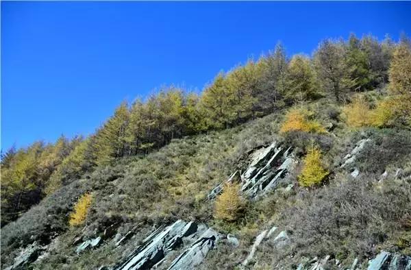 秋日温情故事，金秋天的最新图片欣赏