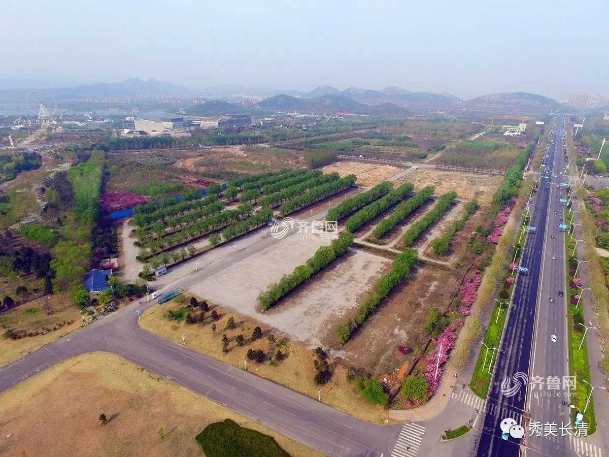 长清影视基地最新动态，进展与挑战并存