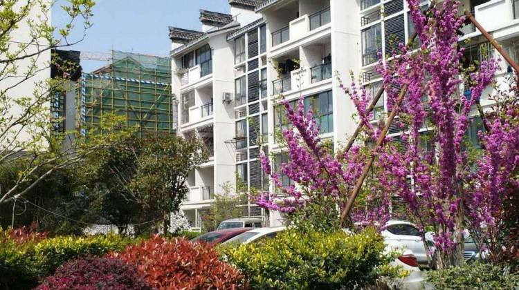 洪湖三民第园最新价格及历史背景、重要事件与地位概述