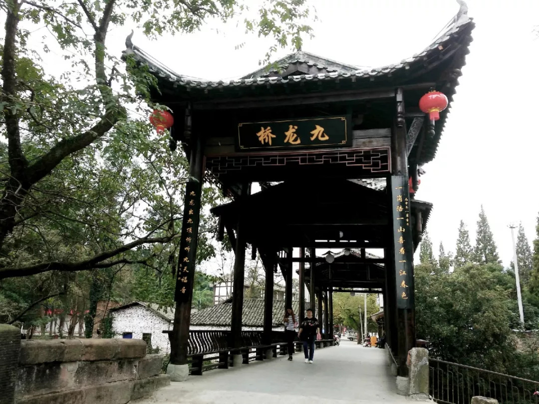 成都九龙桥最新事件，自然美景探索之旅启程