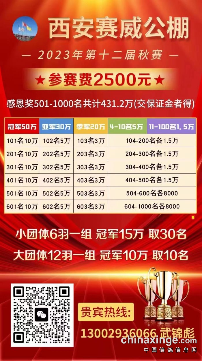 赛威公棚最新动态更新